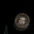 fuochi d'artificio fuochi d'artificio